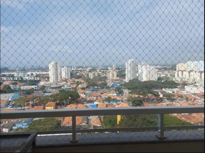 Apartamento à venda com 3 quartos, 81m² - Foto 12